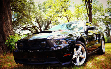 Картинка автомобили mustang gt черный