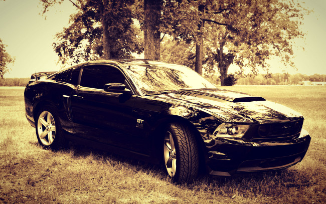 Обои картинки фото автомобили, mustang, gt, черный