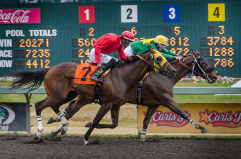 Картинка спорт конный+спорт скачки жокей лошадь ипподром