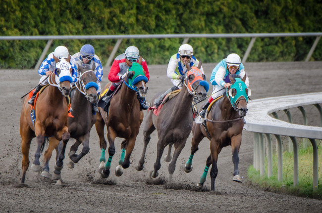 Обои картинки фото спорт, конный спорт, скачки, жокей, лошадь, ипподром