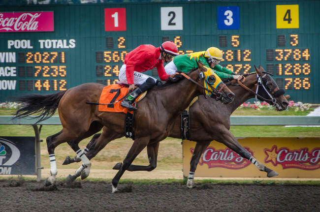 Обои картинки фото спорт, конный спорт, скачки, жокей, лошадь, ипподром