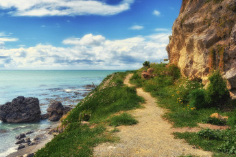 Картинка природа побережье лес река