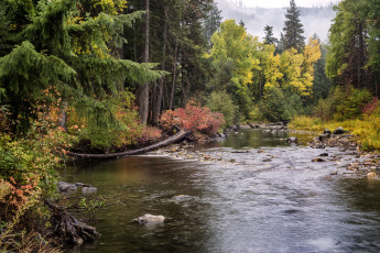 Картинка природа реки озера лес река