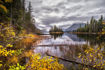 Картинка природа реки озера лес река