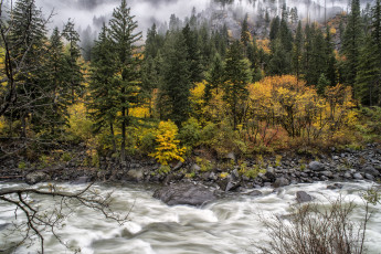 Картинка природа реки озера лес река