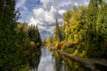 Картинка природа реки озера река лес