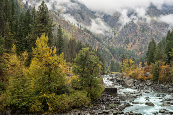 Картинка природа реки озера река лес