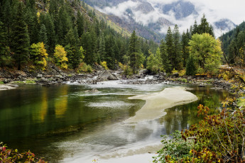 Картинка природа реки озера река лес