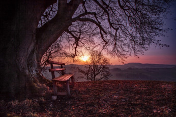 Картинка природа пейзажи рассвет