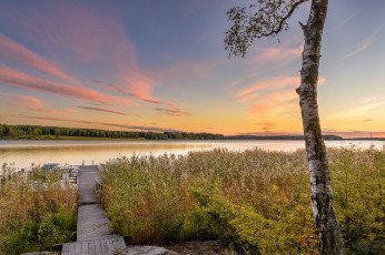 Картинка природа реки озера река лес