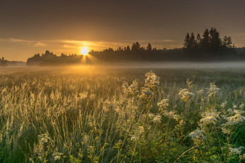 Картинка природа восходы закаты рассвет