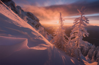 Картинка природа зима снег