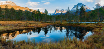 Картинка природа реки озера река лес