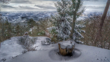 Картинка природа зима снег