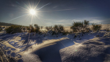 Картинка природа зима снег