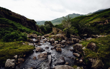 Картинка природа реки озера ручей камни