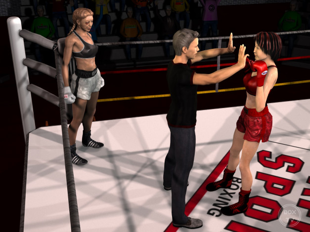 Обои картинки фото 3д графика, спорт , sport, девушки, взгляд, фон, ринг, бокс
