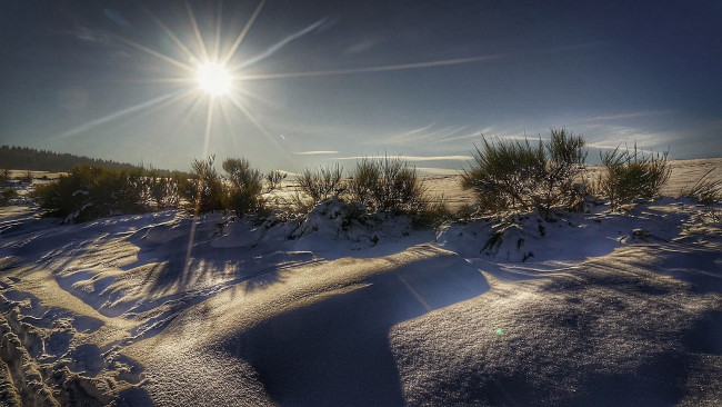 Обои картинки фото природа, зима, снег