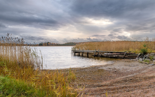 Обои картинки фото природа, реки, озера, река, лес