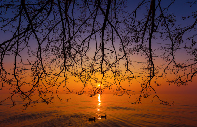 Обои картинки фото природа, восходы, закаты, рассвет