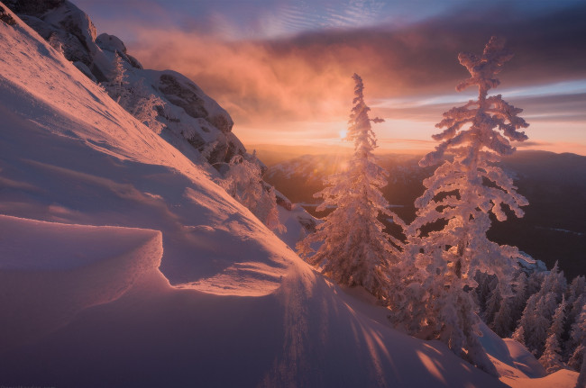 Обои картинки фото природа, зима, снег