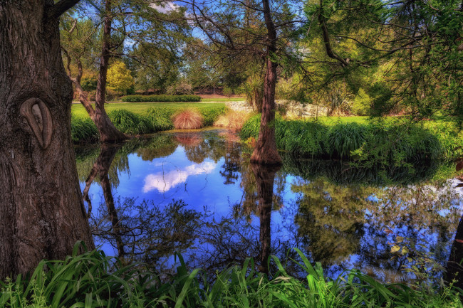 Обои картинки фото природа, реки, озера, лес, река