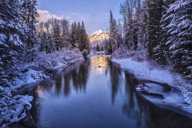 Обои картинки фото природа, реки, озера, лес, река