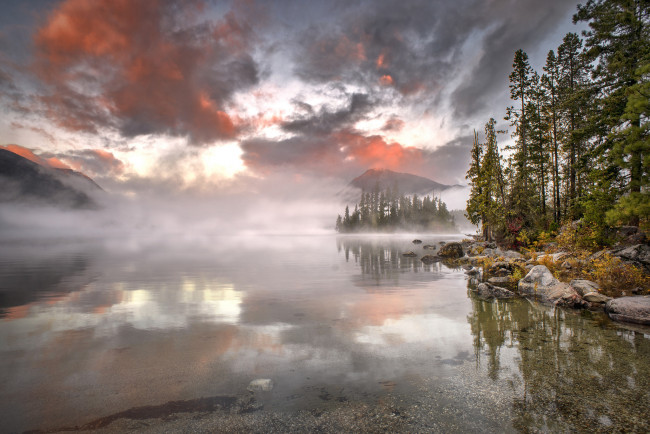 Обои картинки фото природа, реки, озера, лес, река