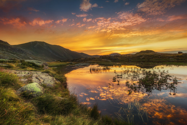 Обои картинки фото природа, реки, озера, река, лес