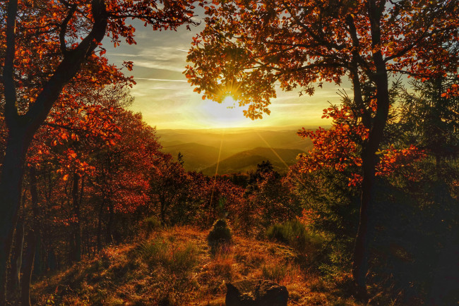 Обои картинки фото природа, восходы, закаты, рассвет