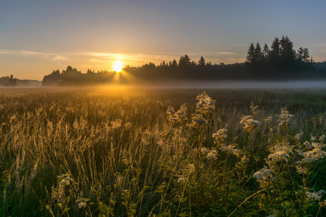 Обои картинки фото природа, восходы, закаты, рассвет