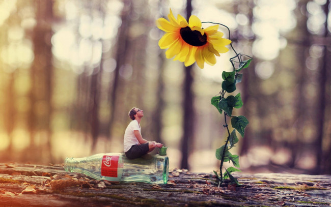 Обои картинки фото юмор и приколы, прикол, подсолнух, бревно, цветок, мужчина, очки, шутка, графика, растение