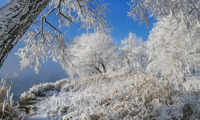 Обои картинки фото природа, зима, снег, сугробы