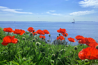 обоя корабли, парусники, пейзаж