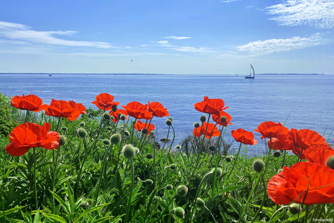 Обои картинки фото корабли, парусники, пейзаж