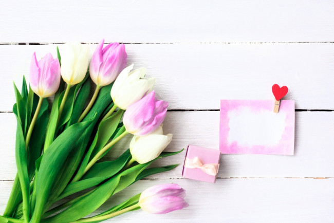 Обои картинки фото праздничные, подарки и коробочки, тюльпаны, подарок