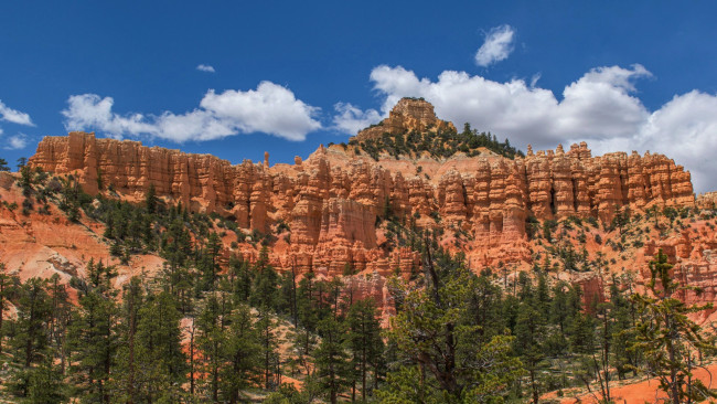 Обои картинки фото bryce canyon national park , utah, природа, горы, bryce, canyon, national, park