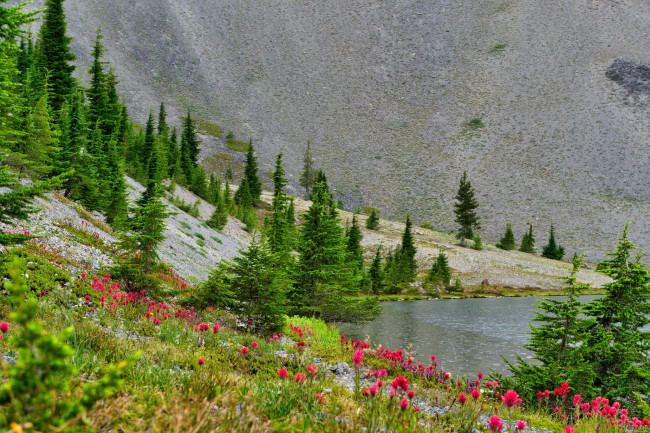 Обои картинки фото природа, реки, озера, пейзаж