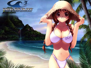 Картинка аниме dead or alive