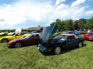 Картинка автомобили выставки уличные фото