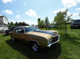 Картинка автомобили выставки уличные фото