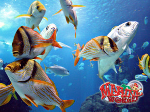 Картинка wildlife park marine world видео игры