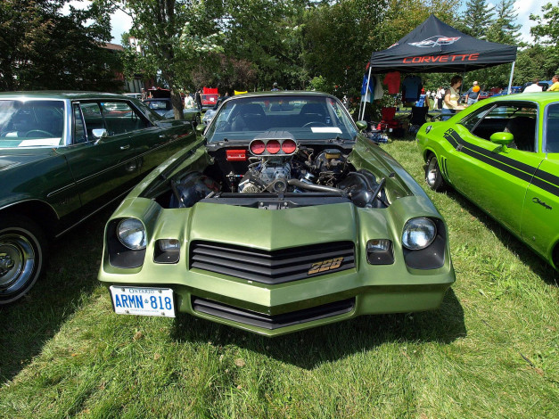 Обои картинки фото автомобили, выставки, уличные, фото