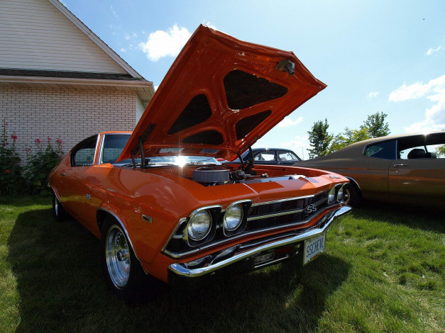 Обои картинки фото автомобили, выставки, уличные, фото