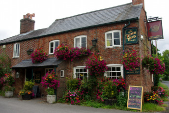 Картинка города здания дома цветы вывески здание