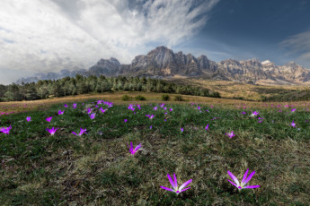 Картинка природа луга горы