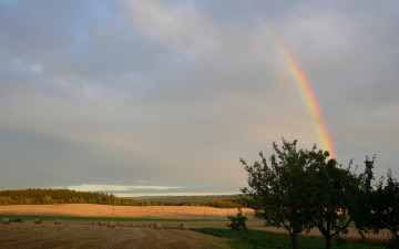 Картинка природа радуга поле деревья