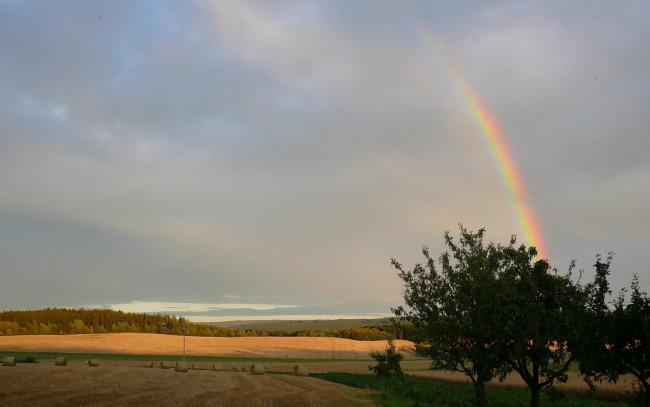 Обои картинки фото природа, радуга, поле, деревья