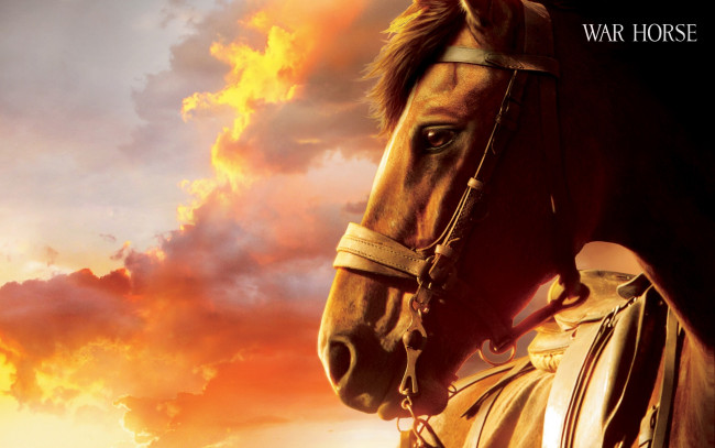 Обои картинки фото war, horse, кино, фильмы, боевой, конь