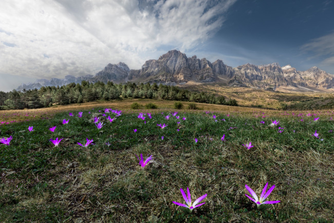 Обои картинки фото природа, луга, горы